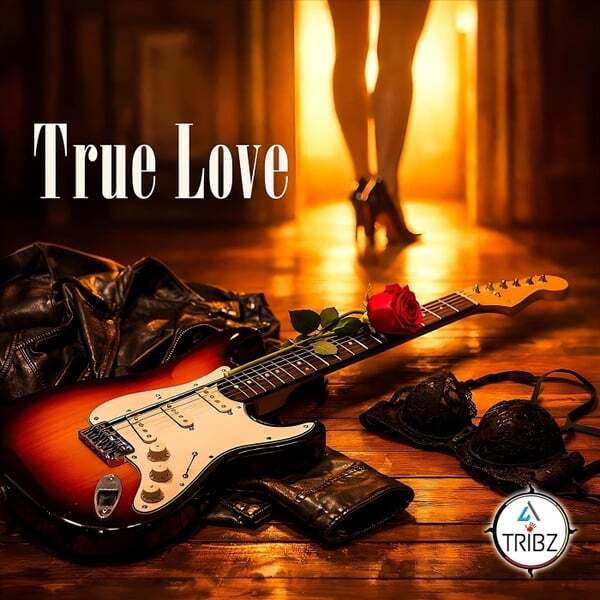 Cover art for True Love